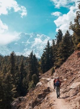 Fairy Meadows trek
